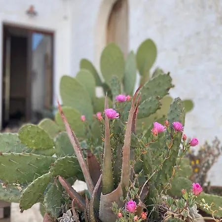 Casa Trieste Appartement *